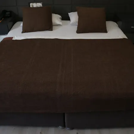 Asus Palmiye 3* أضنه