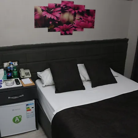 Asus Palmiye 3* أضنه