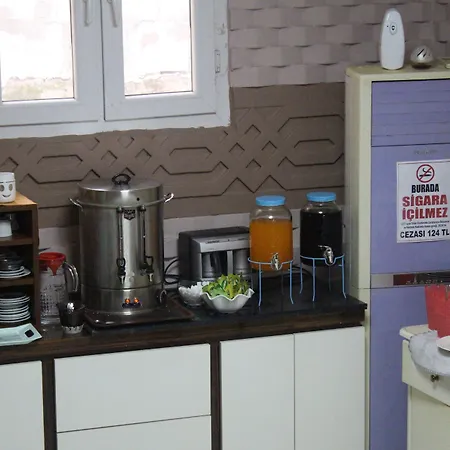 Asus Palmiye Adana