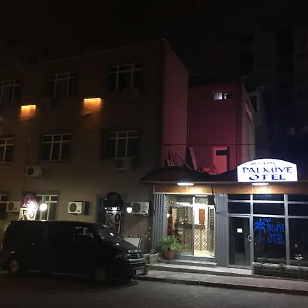 Asus Palmiye 3*