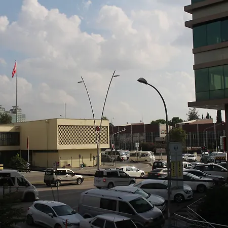 Asus Palmiye