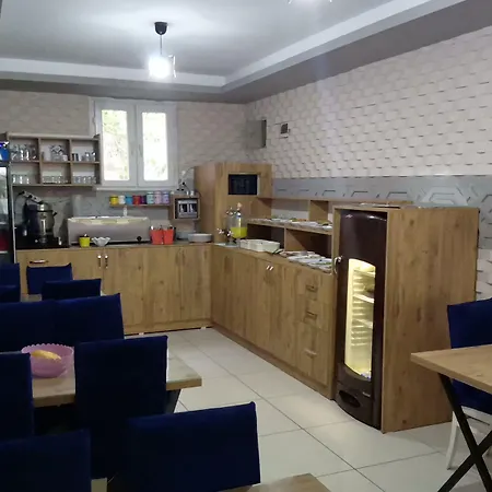 Asus Palmiye