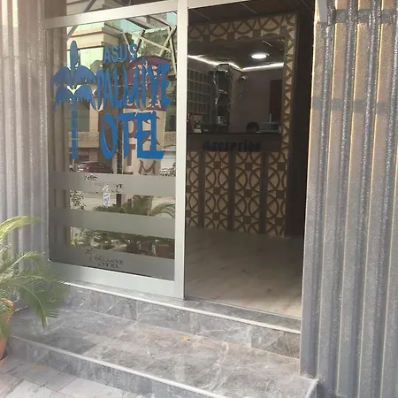 Asus Palmiye 3* أضنه