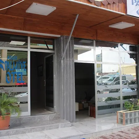Asus Palmiye