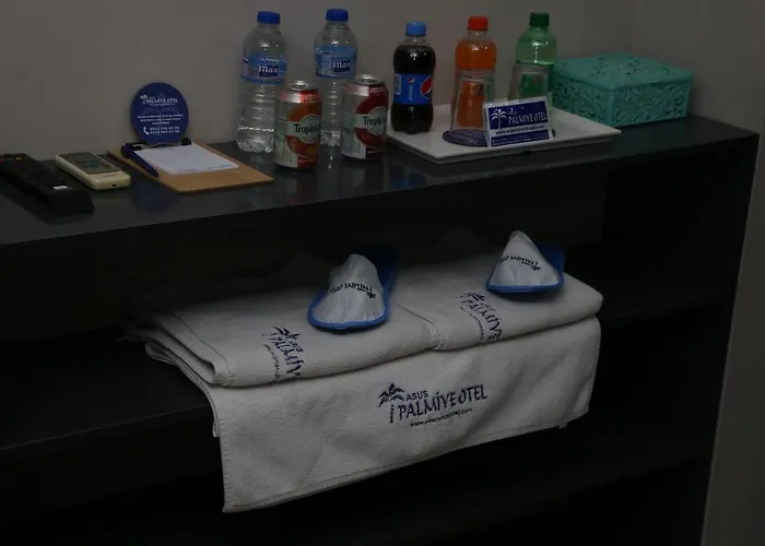 فندق مبيت وإفطار Asus Palmiye