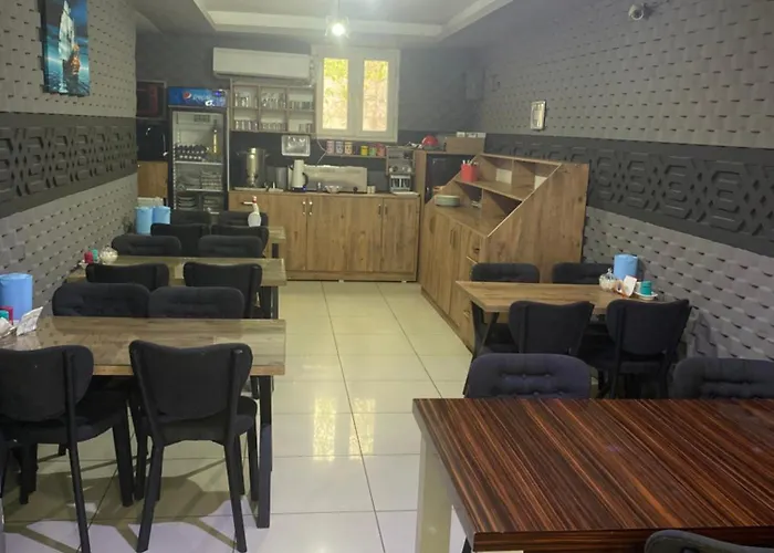 فندق مبيت وإفطار Asus Palmiye 3*