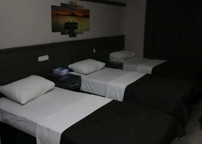 Asus Palmiye فندق مبيت وإفطار