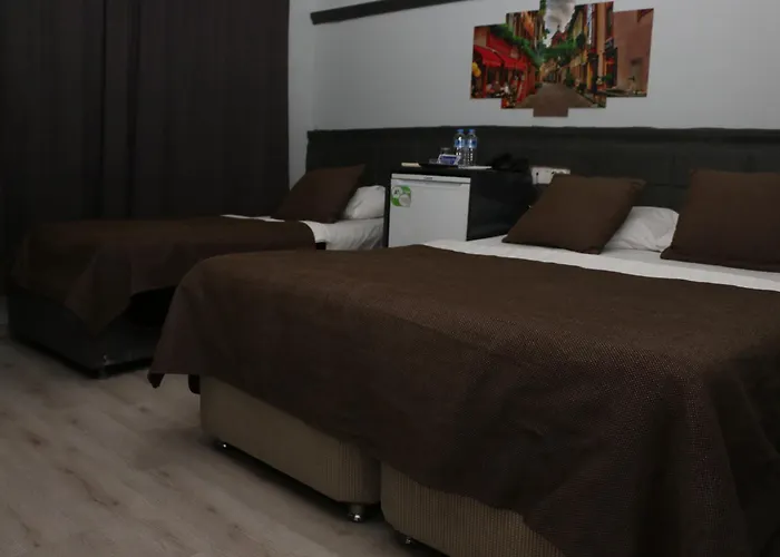 Asus Palmiye أضنه