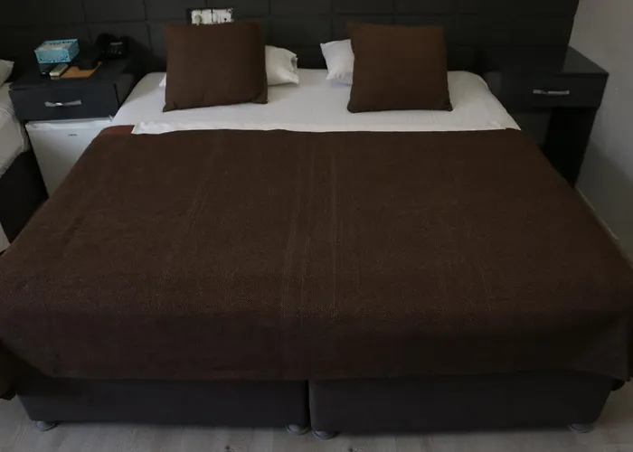 Asus Palmiye 3* أضنه