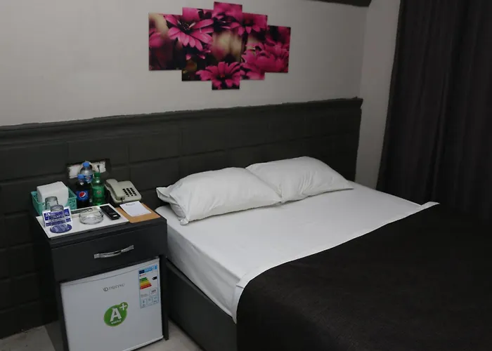 فندق مبيت وإفطار Asus Palmiye أضنه