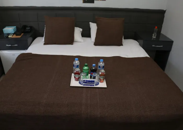 Asus Palmiye فندق مبيت وإفطار أضنه