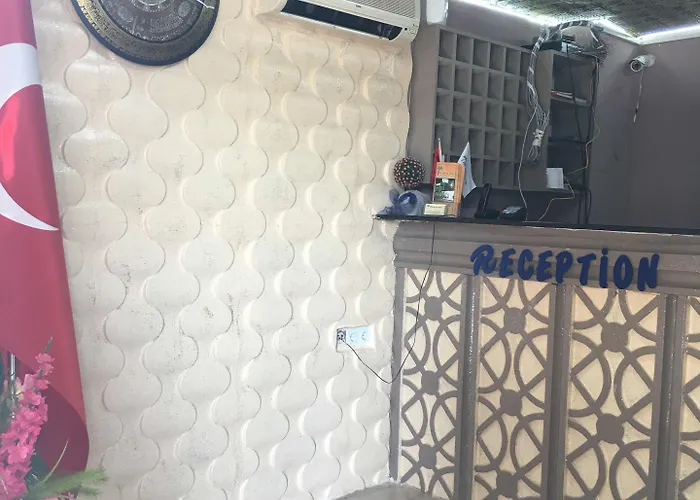 فندق مبيت وإفطار Asus Palmiye 3*