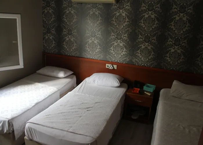 فندق مبيت وإفطار Asus Palmiye أضنه