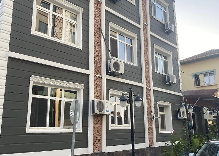 فندق مبيت وإفطار Asus Palmiye أضنه