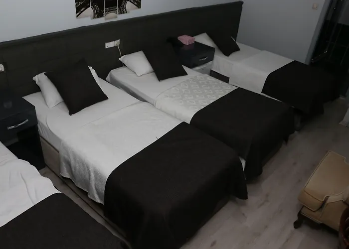 فندق مبيت وإفطار Asus Palmiye