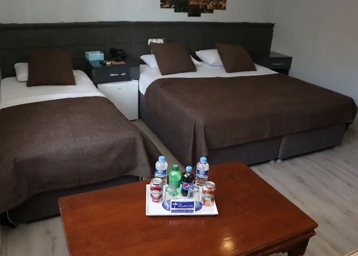 فندق مبيت وإفطار Asus Palmiye