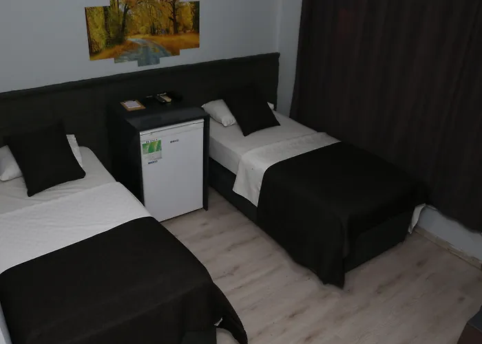 فندق مبيت وإفطار Asus Palmiye