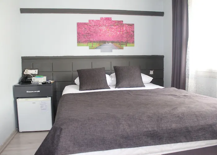 فندق مبيت وإفطار Asus Palmiye أضنه