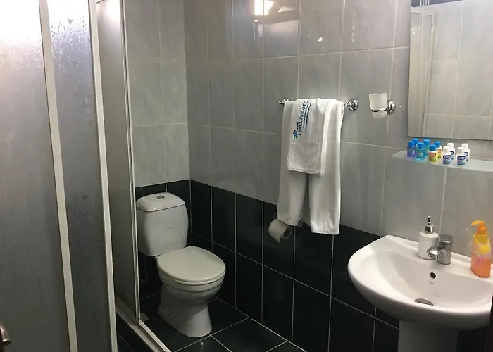 فندق مبيت وإفطار Asus Palmiye 3*